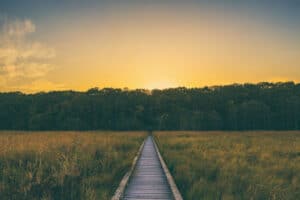 Letting Go Of The Past