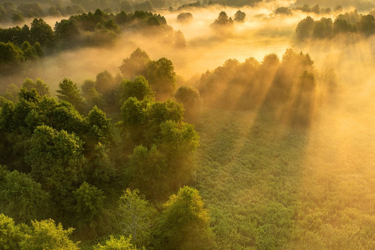 The Part of Rolfing Nobody Talks About